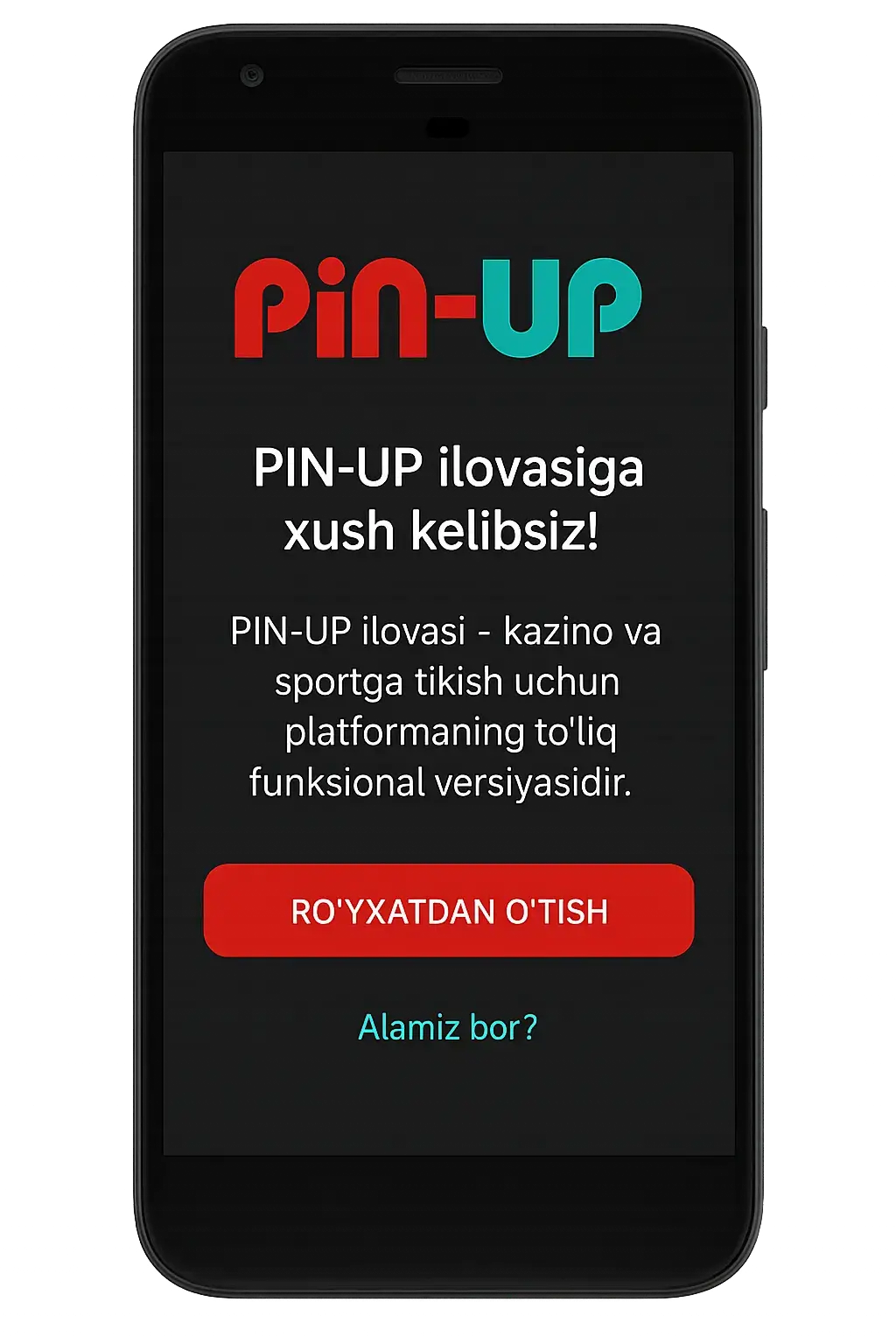 Pin-Up Chile - Retiros en pinup: reglas, verificación